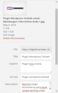 Optimasi SEO